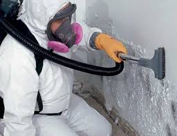 Mold Documentation for Insurance Claims in Salem, NC